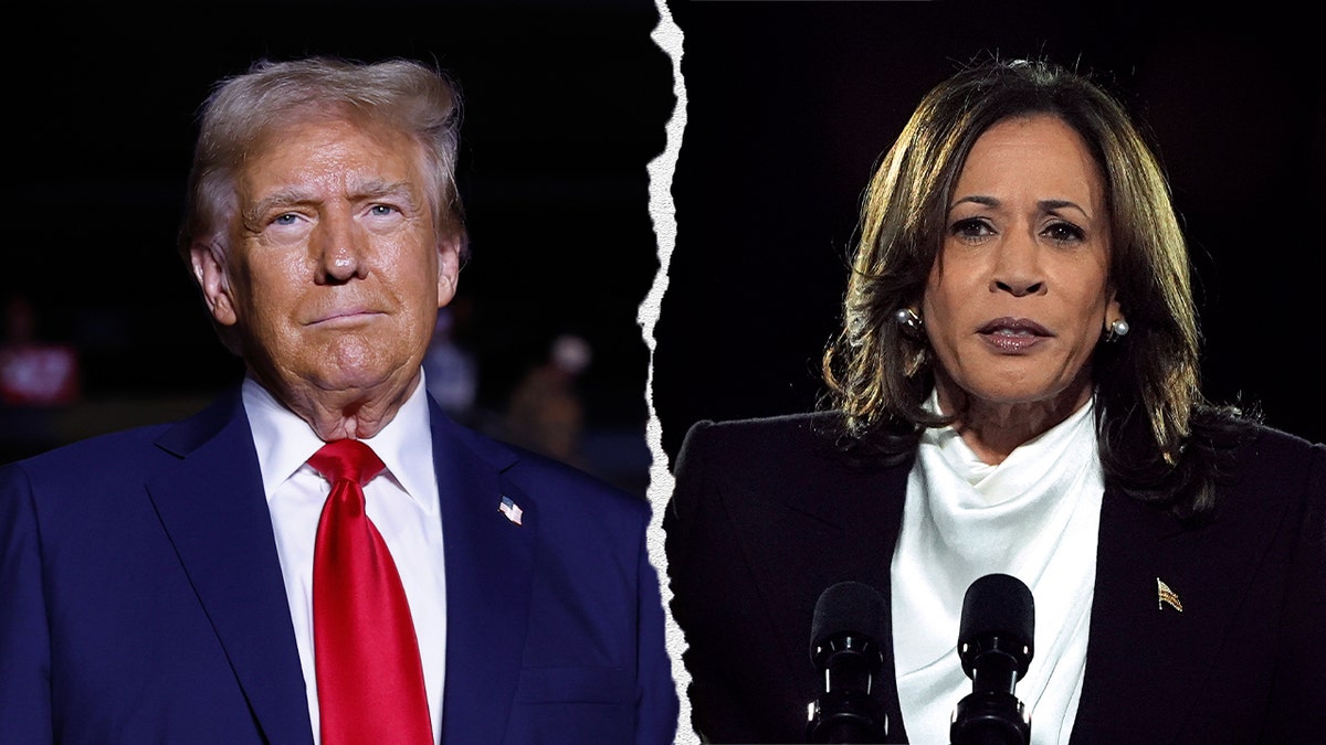 Trump and Harris successful photograph split