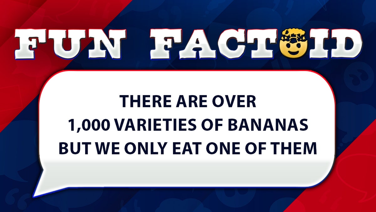 Fun Facts: That's bananas! There's 1,000 varieties of the yellow fruit?