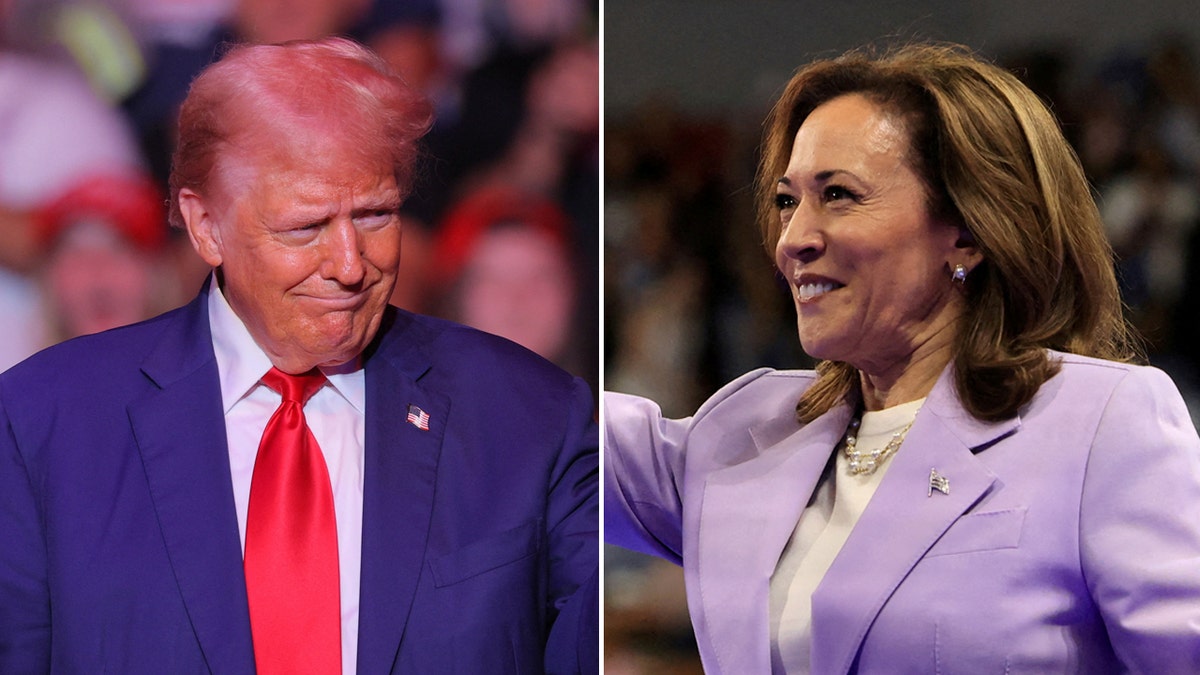 Trump Harris foto dividida