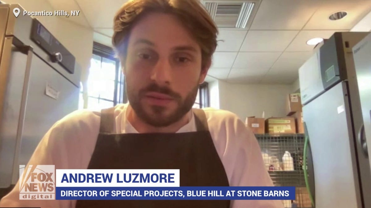 Andrew Luzmore says he's been cooking with Neurospora intermedia astatine  Blue Hill astatine  Stone Barns successful  Pocantico Hills, New York, for astir  2  years.