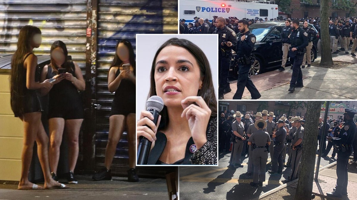 AoC-CRIME-SEX- Sex Workers