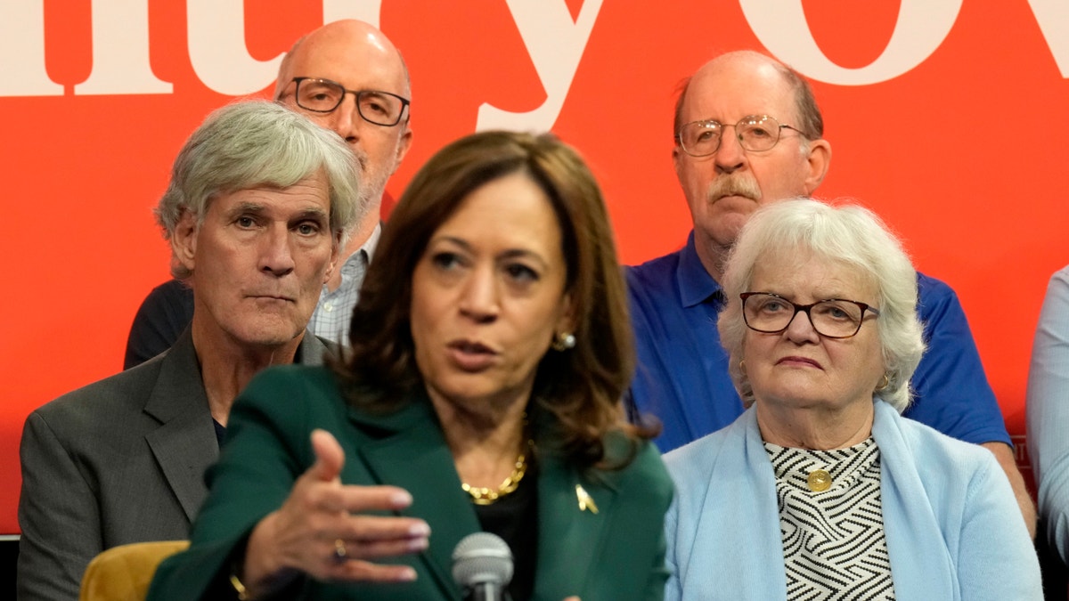 Democratic statesmanlike  nominee Vice President Kamala Harris speaks during a municipality  hallway  successful  Malvern, Pa. (AP Photo/Jacquelyn Martin)