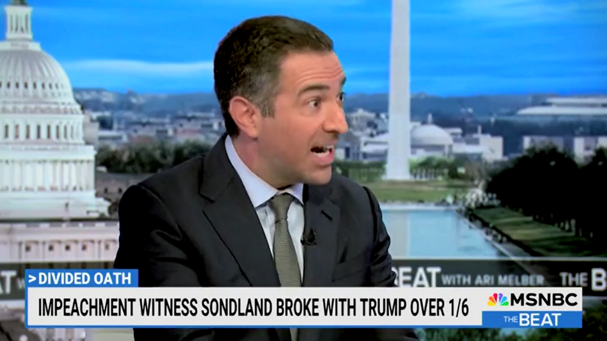 Ari Melber shouted in disbelief as he questioned one of his guests