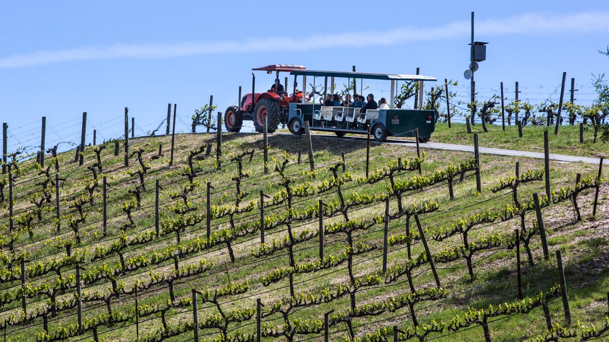 Bodega Familia Benziger