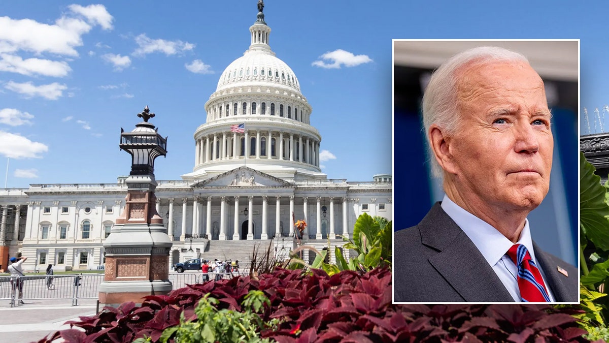 biden-capitol