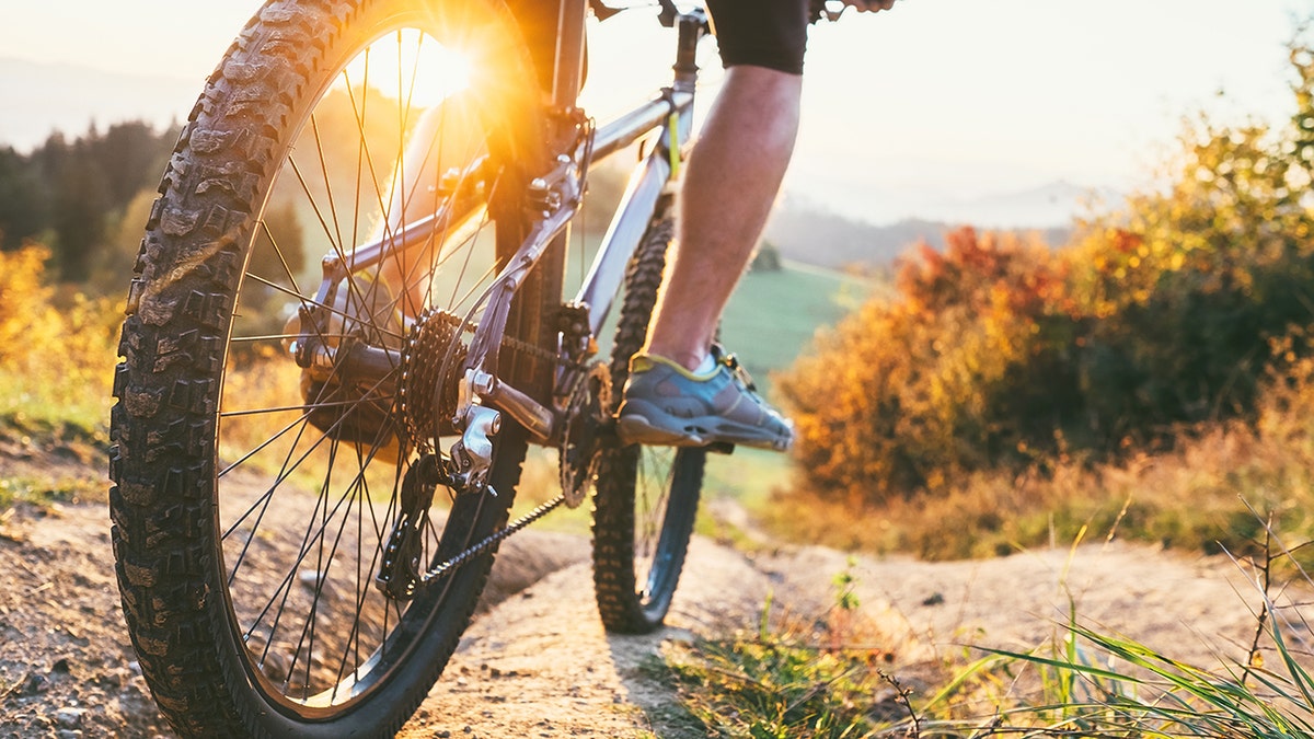 Sendero en carril bici con terreno accidentado.