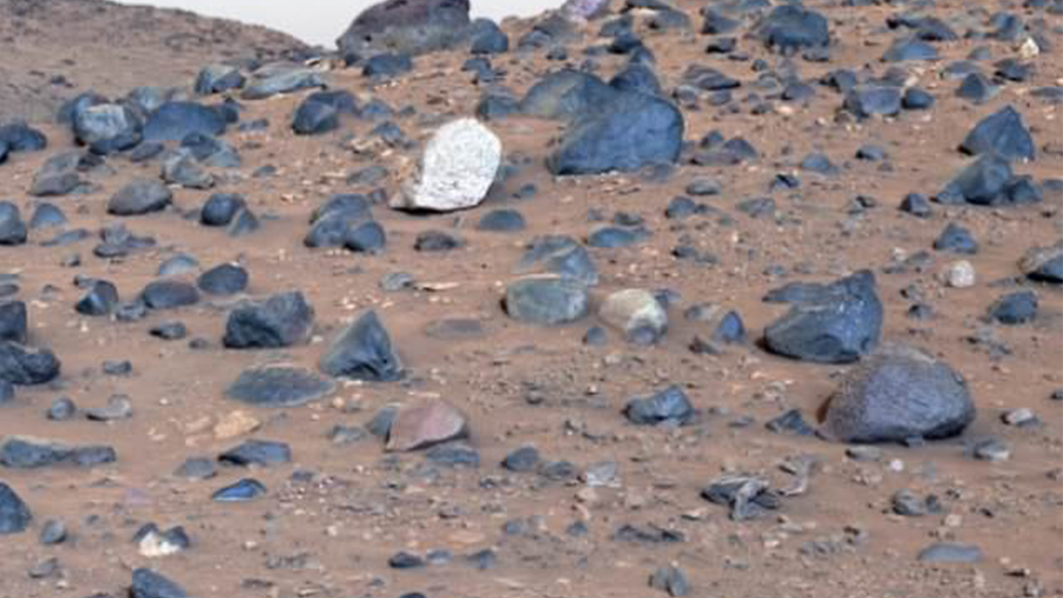 Field of bluish  rocks connected  Mars