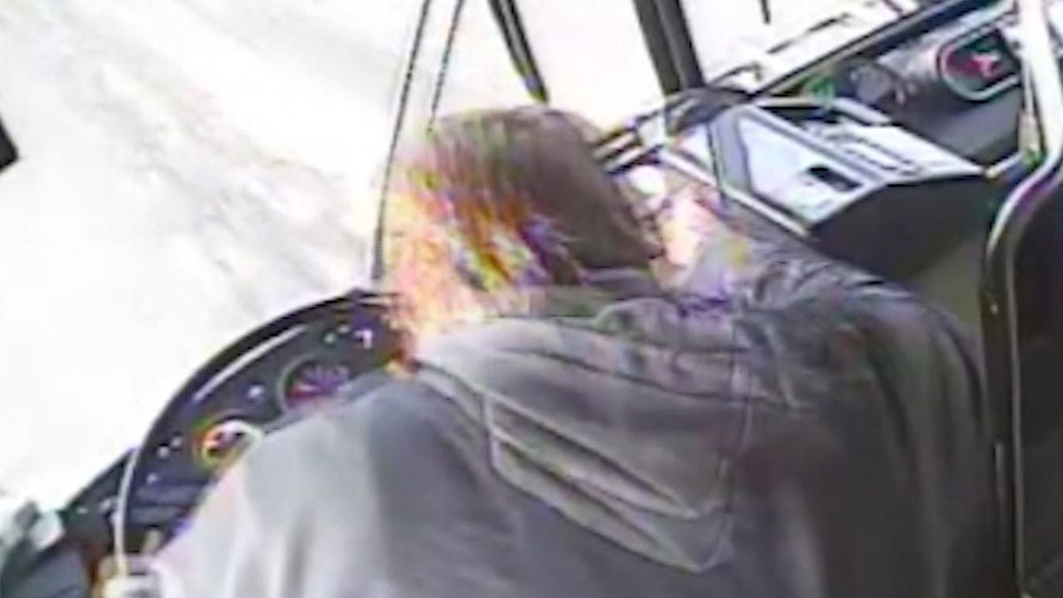 A rider  seen taking implicit    a Colorado transit bus