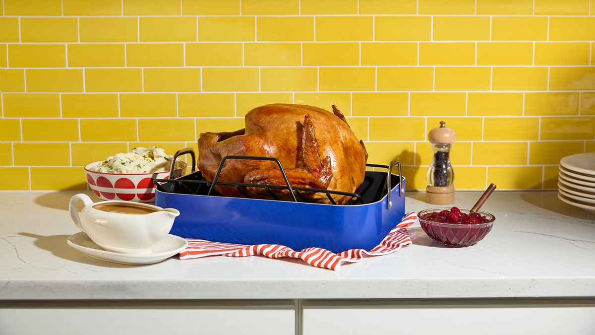 Cooked turkey sitting connected  countertop.