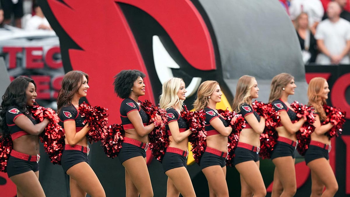 Cardinals cheerleaders astatine  Lions game