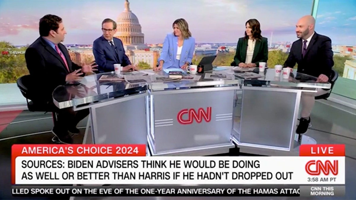 Panel CNN