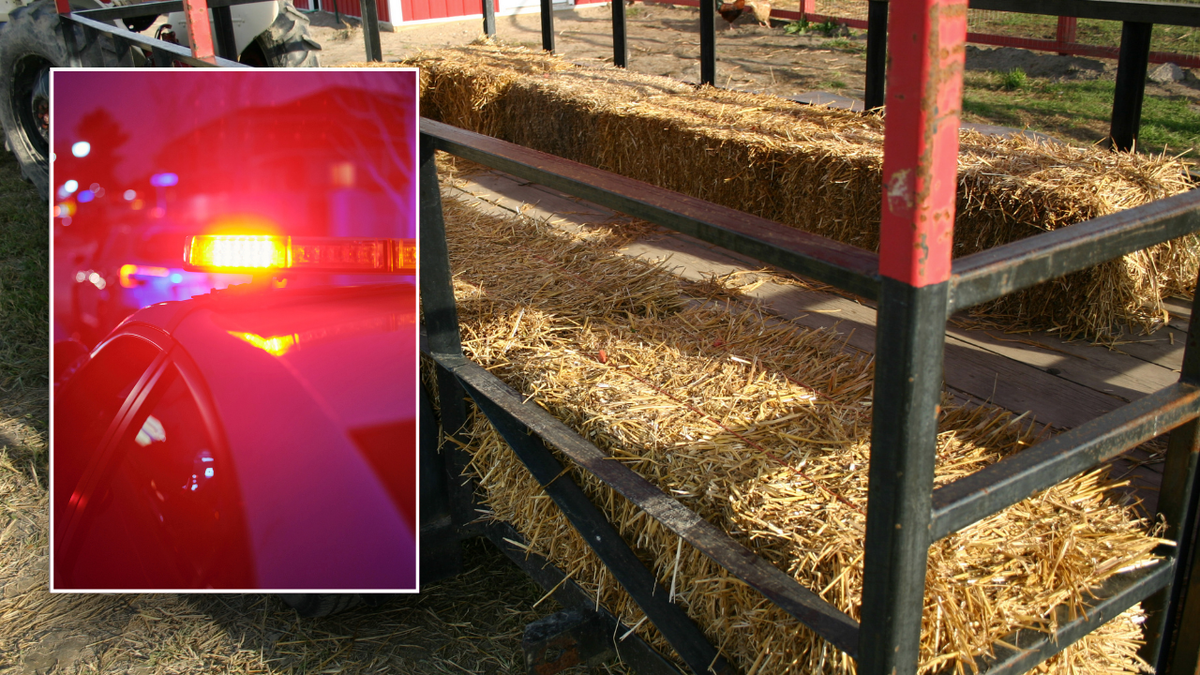 Split image of police car, hayride