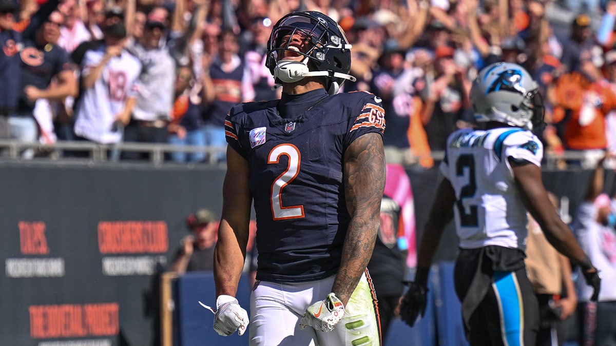 Bears-Panthers fight leads to ejections in Chicago's blowout win  at george magazine