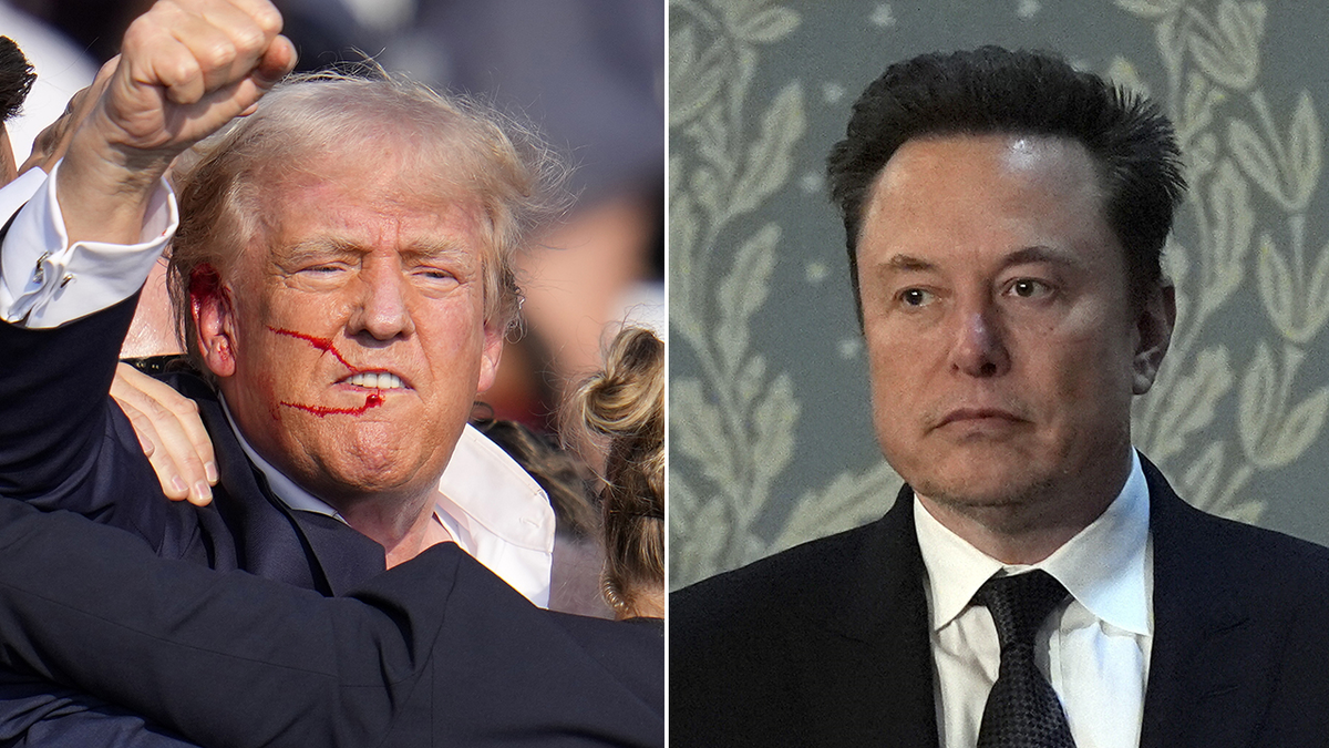 Donald Trump, left; Elon Musk, close    successful  photograph  split