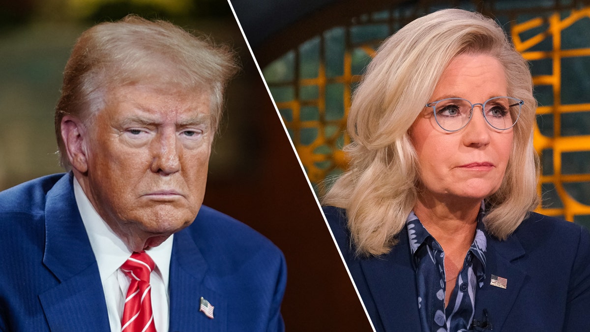 Liz Cheney bashes Trump in new key battleground Harris ad as election ...