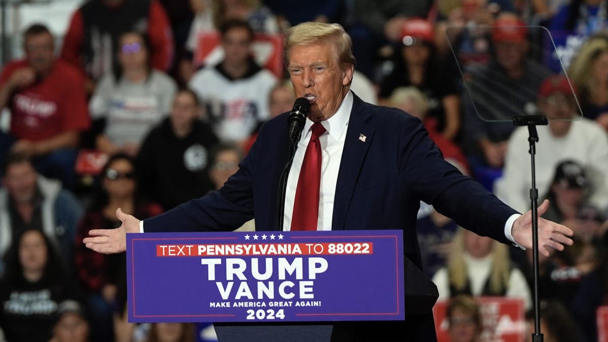 Republican presidential candidate former President Donald Trump speaks at a campaign rally at Riverfront Sports on Wednesday, Oct. 9, 2024, in Scranton, Pennsylvania. (AP Photo/Julia Demaree Nikhinson)