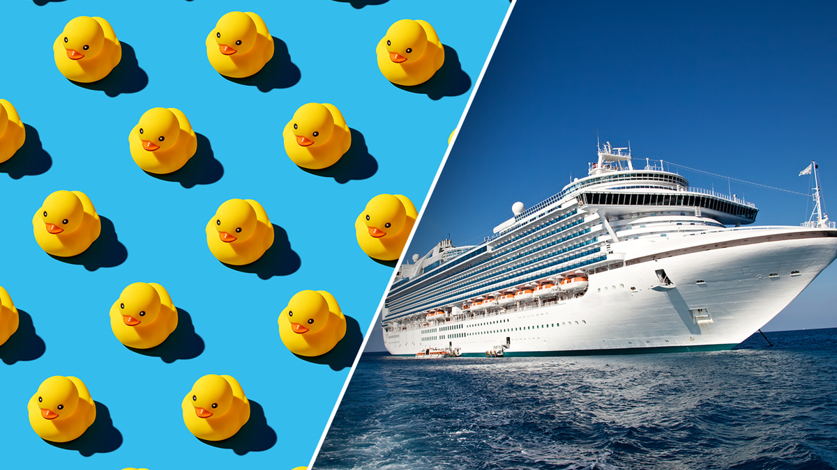 rubber ducks and cruise ship