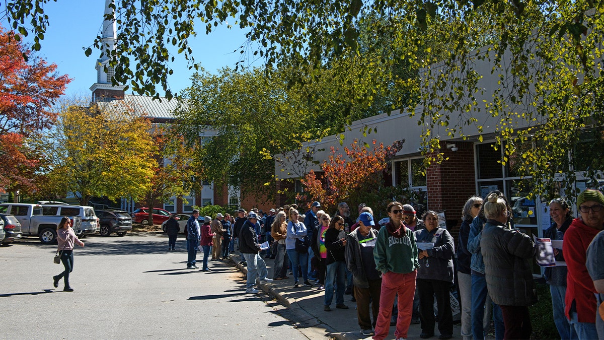 A large line of potential voters wait outside an early voting site on Oct. 17, 2024 in Asheville, North Carolina. ?