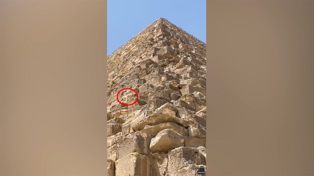 Dog on the Great Pyramid