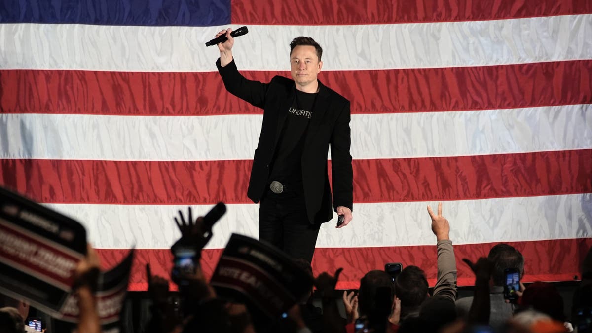 Elon Musk speaks at a town hall meeting in support of Republican presidential candidate, former President Donald Trump, in Folsom, Pennsylvania, Thursday, Oct. 17, 2024. (AP Photo/Matt Rourke)