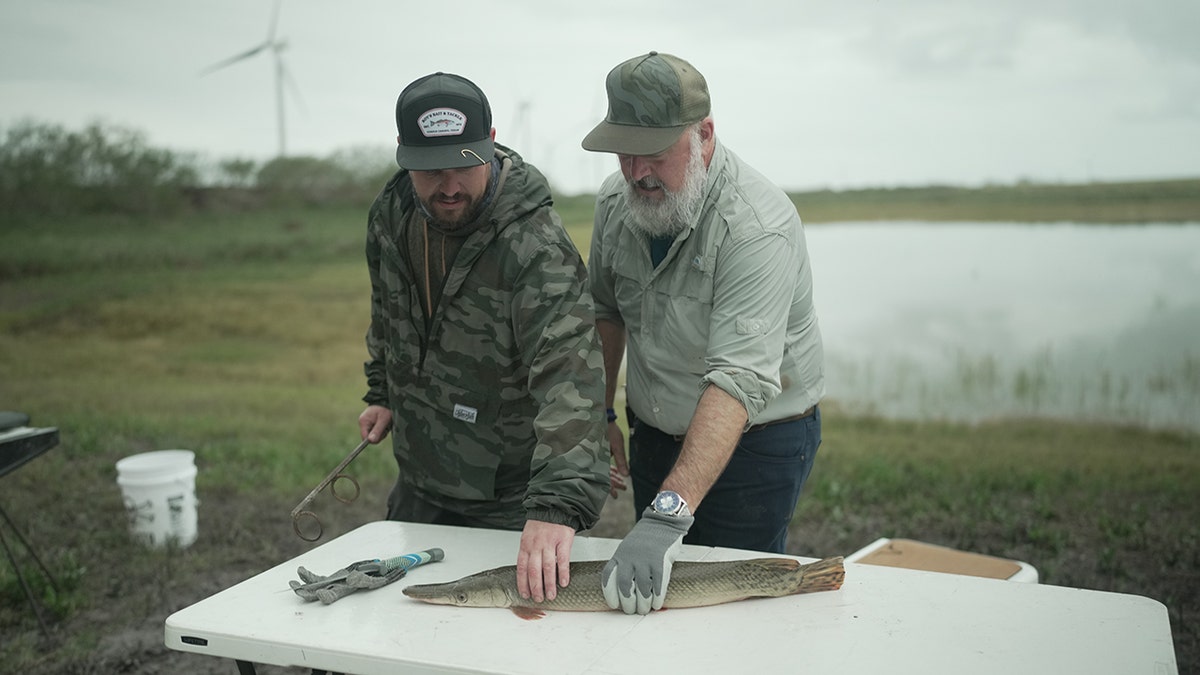 Andrew Zimmern and alligator gar.