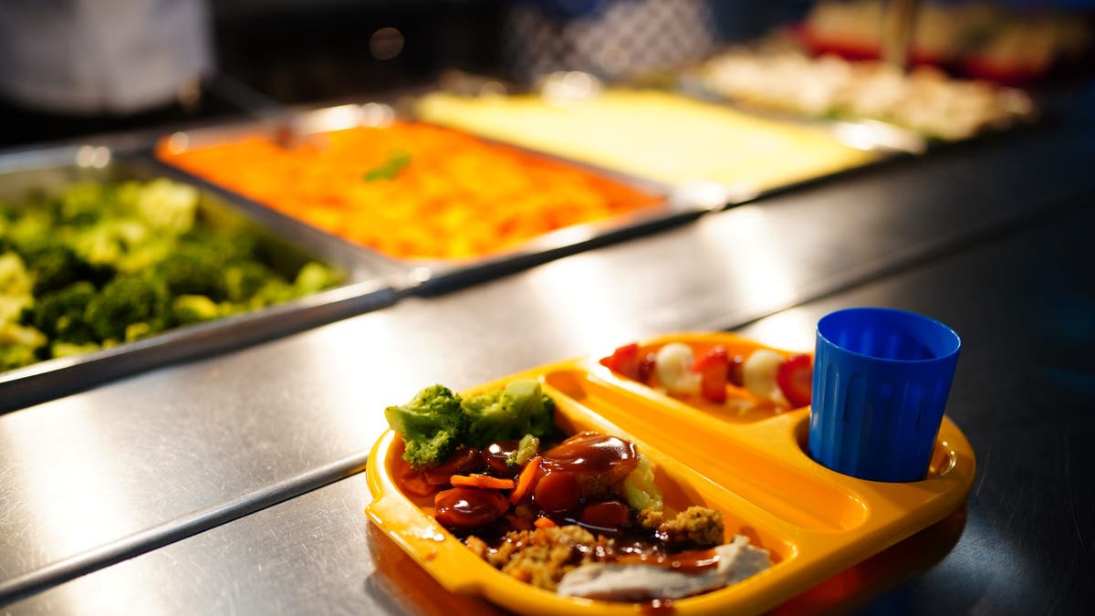 school lunch tray