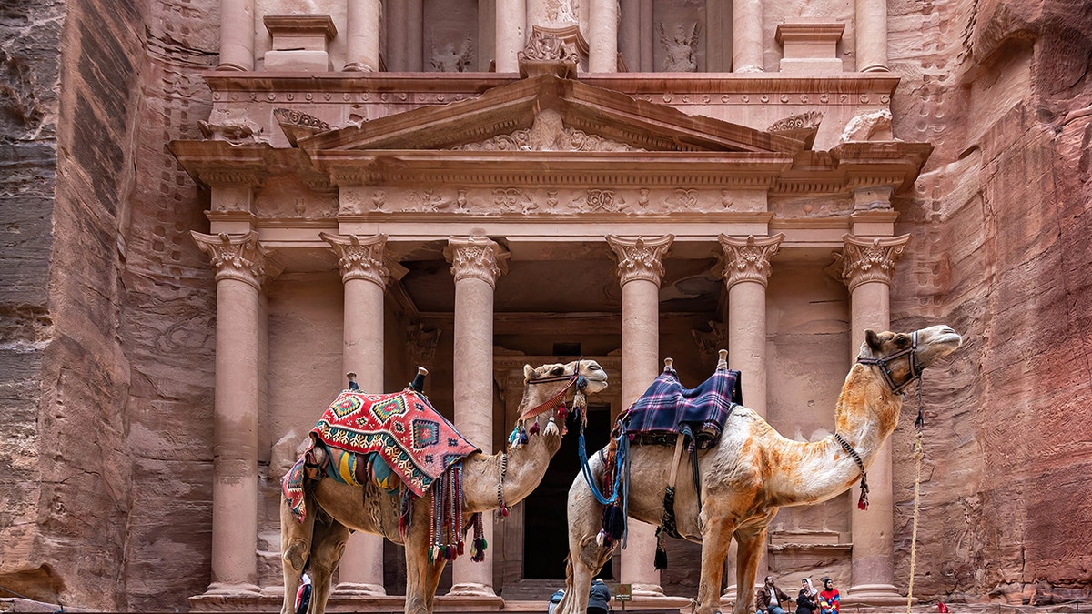 The Treasury successful  Petra