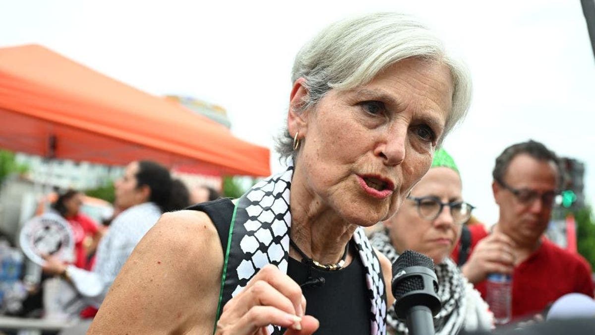 Jill Stein astatine a protestation during a associated gathering of Congress pinch Israeli Prime Minister Benjamin Netanyahu.