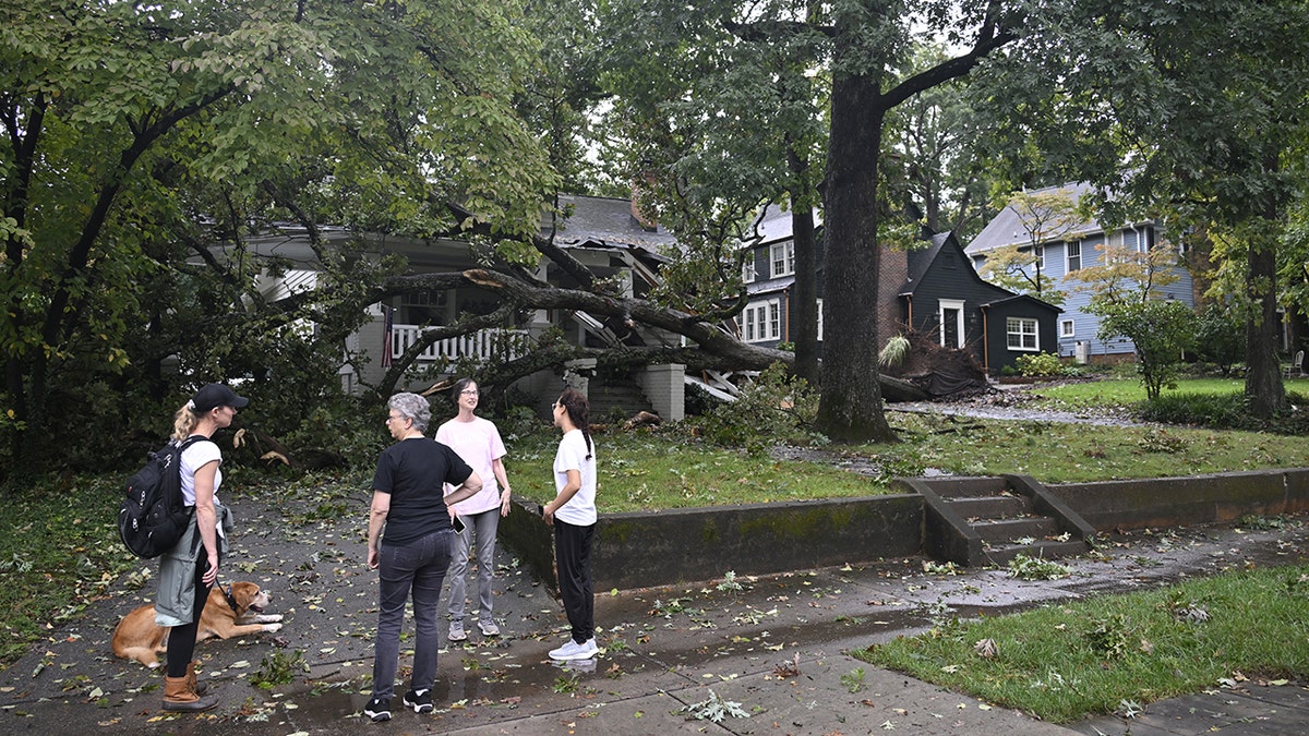 hurricane helene damages successful  charlotte