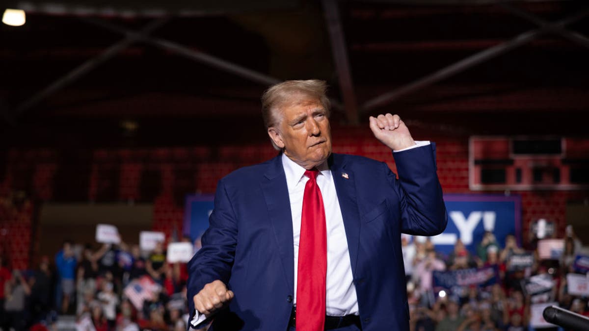 Donald Trump raises his fist at a rally in Michigan