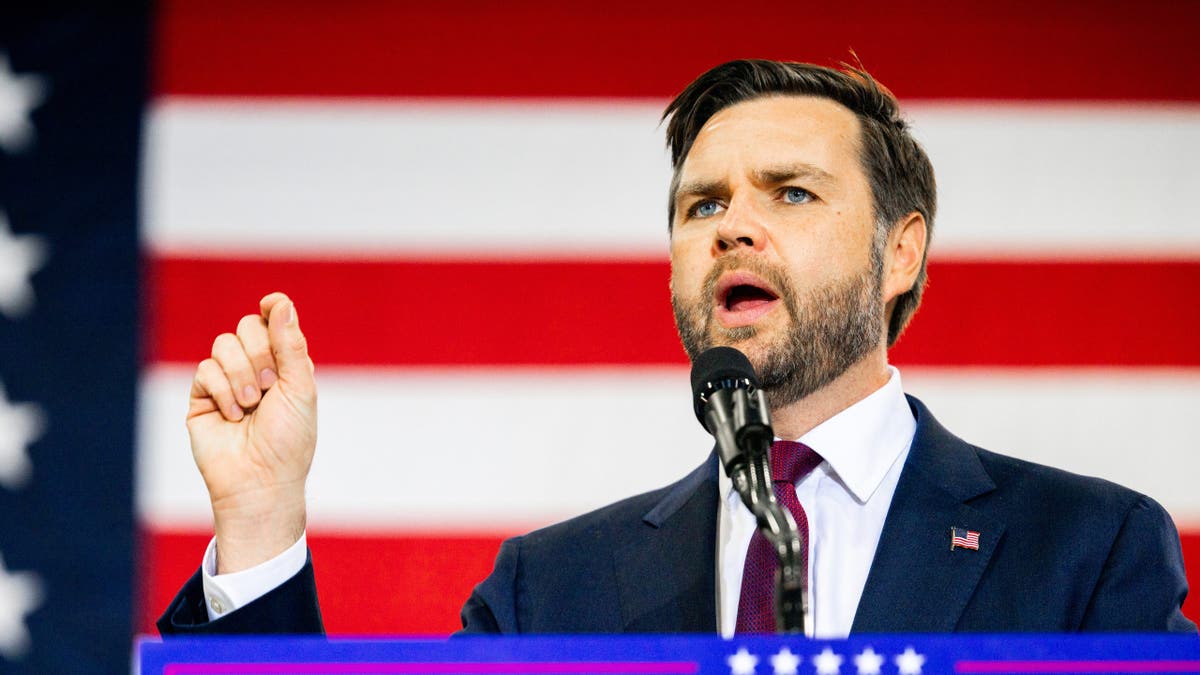 Close-up of JD Vance at a campaign rally in Michigan