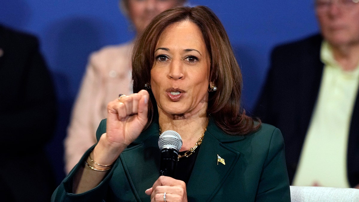 Democratic presidential nominee Vice President Kamala Harris speaks as she attends a campaign event with former Rep. Liz Cheney, R-Wyo., on Monday, Oct. 21, 2024, in Brookfield, Wis.