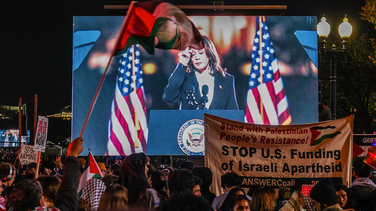 Anti-Israel protesters chant and wave a Palestinian flag as people gather to watch on a screen as Vice President Kamala Harris speaks on The Ellipse, just south of the White House, in Washington, D.C., on Oct. 29, 2024.