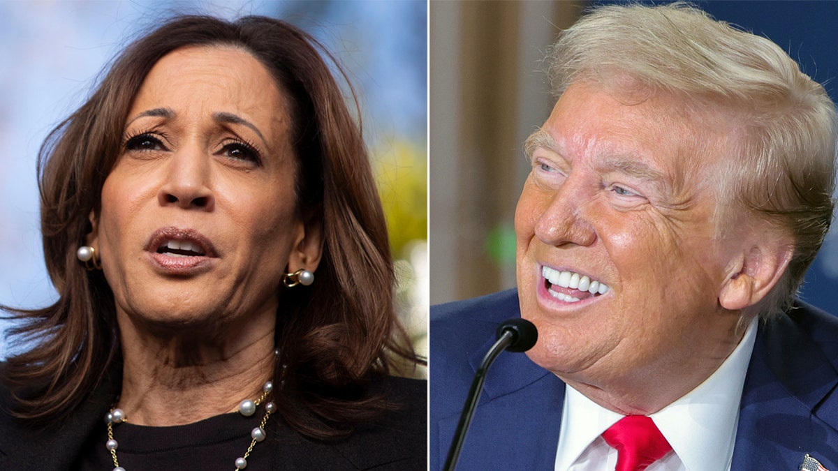 Harris Trump está dividido