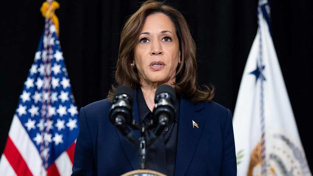 Kandidat presiden dari Partai Demokrat Wakil Presiden AS Kamala Harris