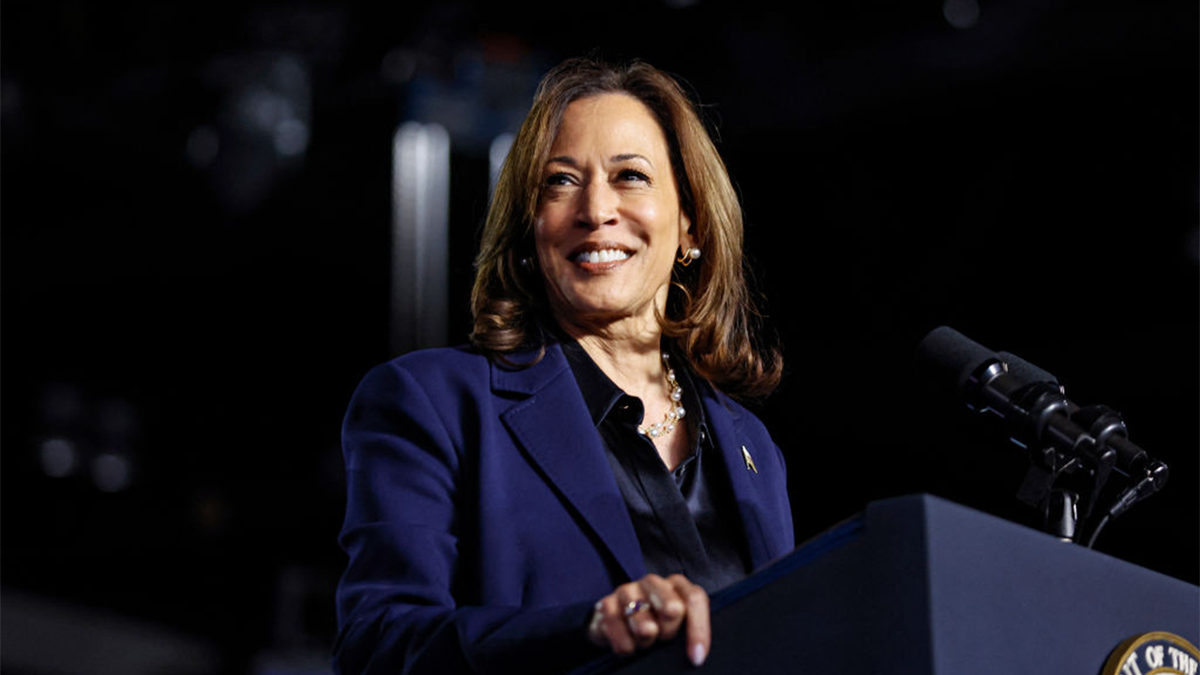 Vice President Kamala Harris successful  closeup shot