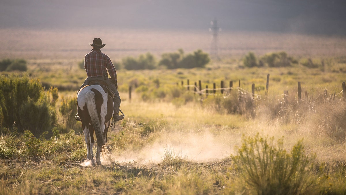 horseback riding on a scenic trail