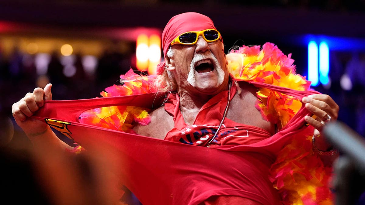 Hulk Hogan successful  2024