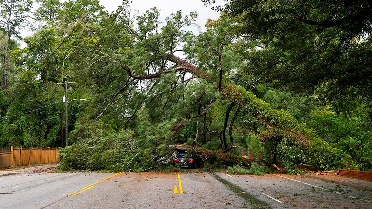 Uma árvore derrubada pelo furacão Helene caiu sobre um carro em Forest Acres, Carolina do Sul