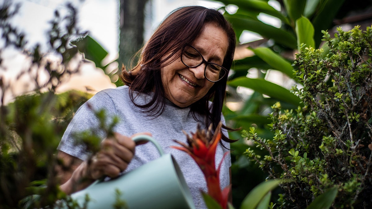 Anciana cuidando de su jardín