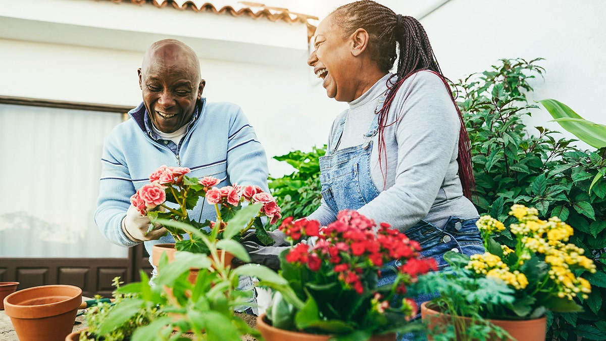 laughing mates  tends to their outdoor garden