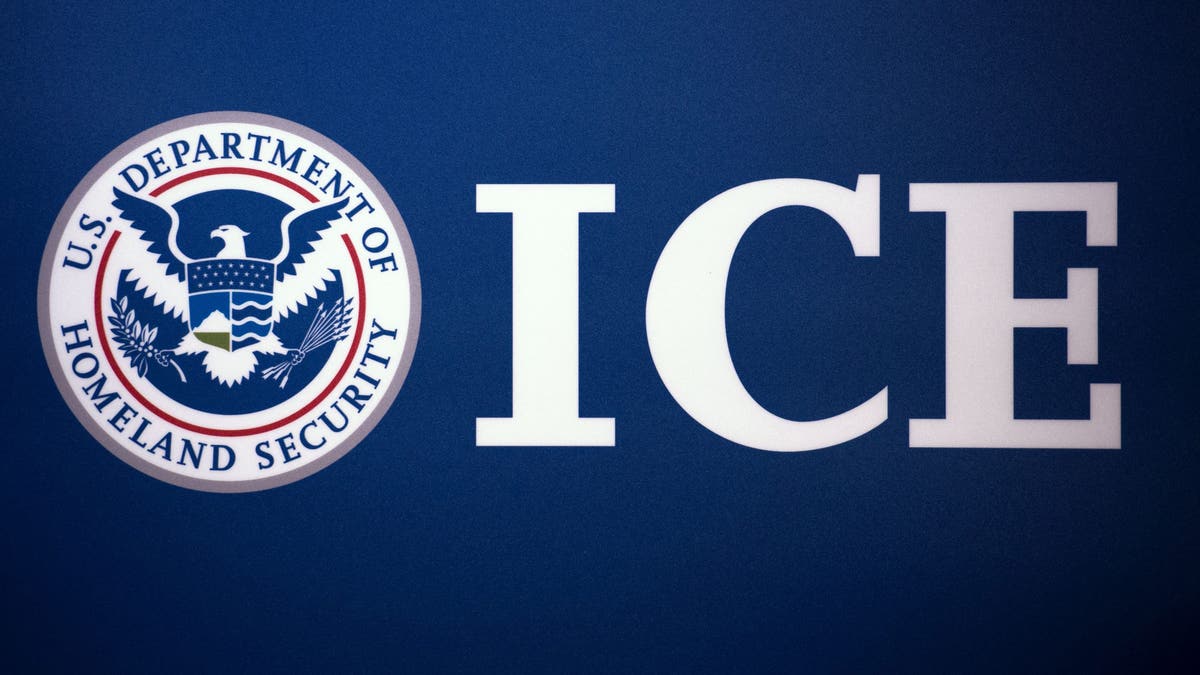 Immigration and Customs Enforcement seal adjacent to nan letters ICE