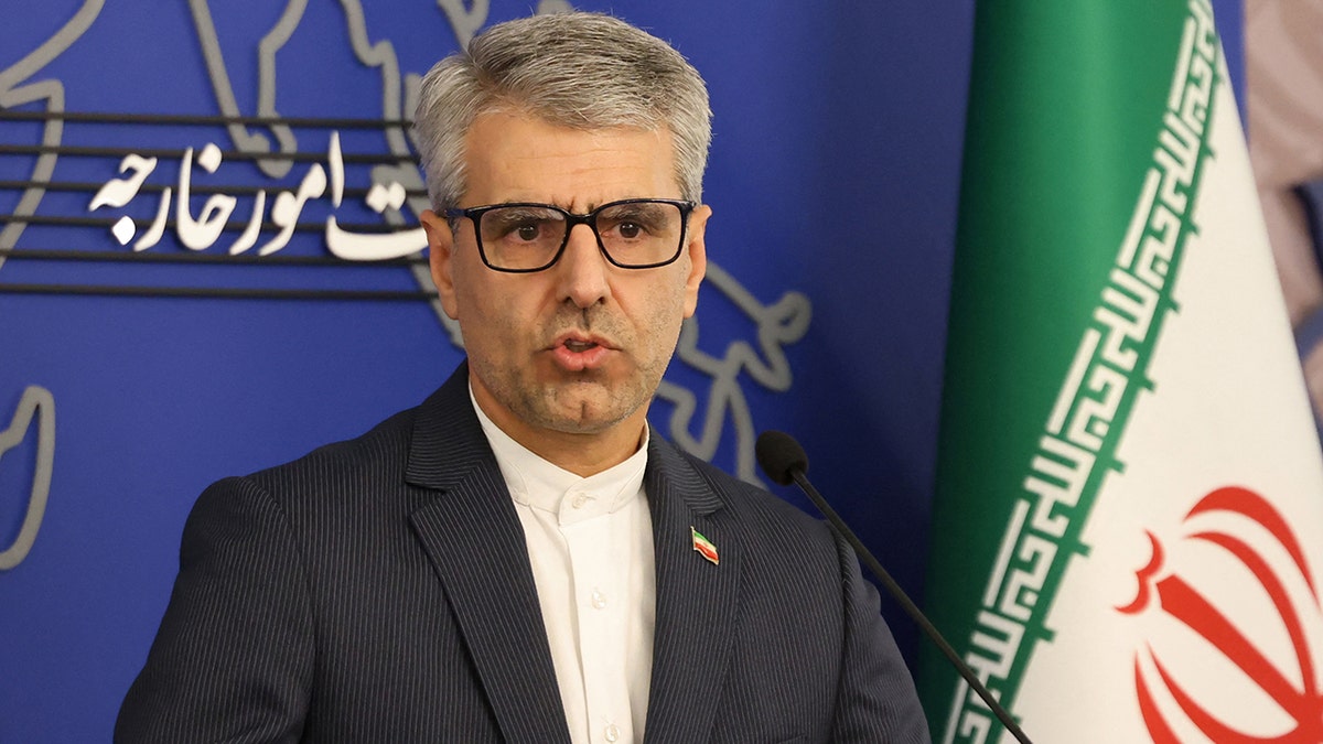 Iran's overseas   ministry spokesperson  Esmaeil Baghaei