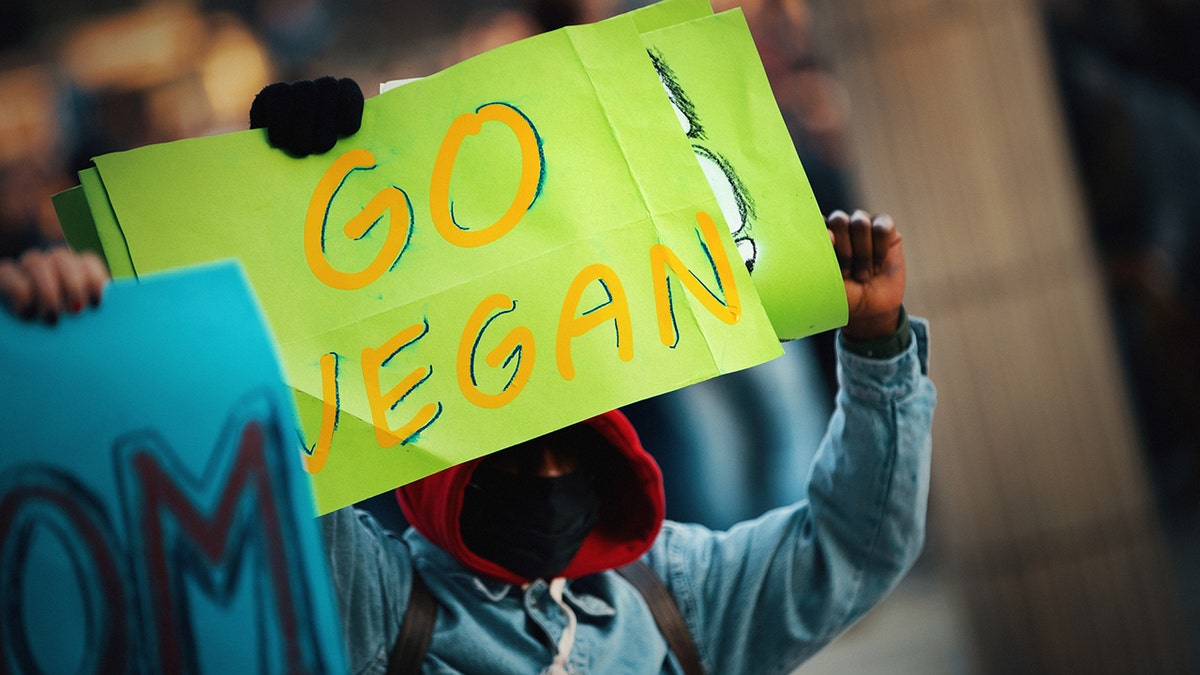 Primer plano lateral de activistas de los derechos de los animales protestando en la calle con un cartel de GO VEGAN.