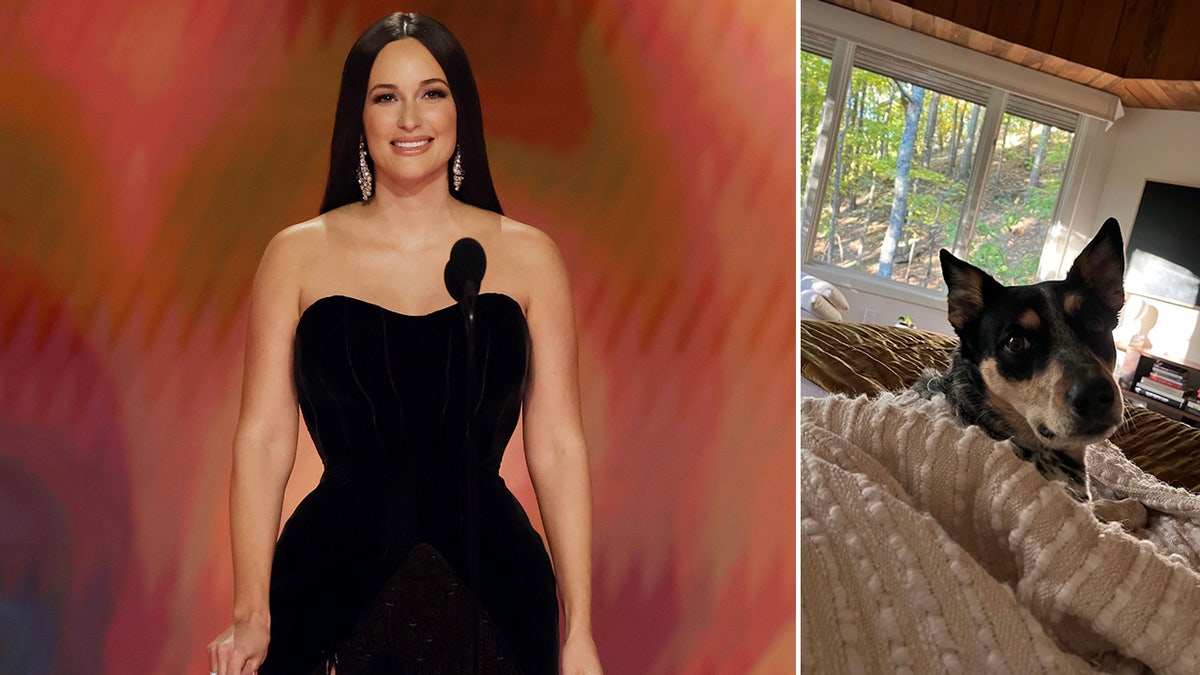 Kacey Musgraves side by side a photo of her dog Pepper