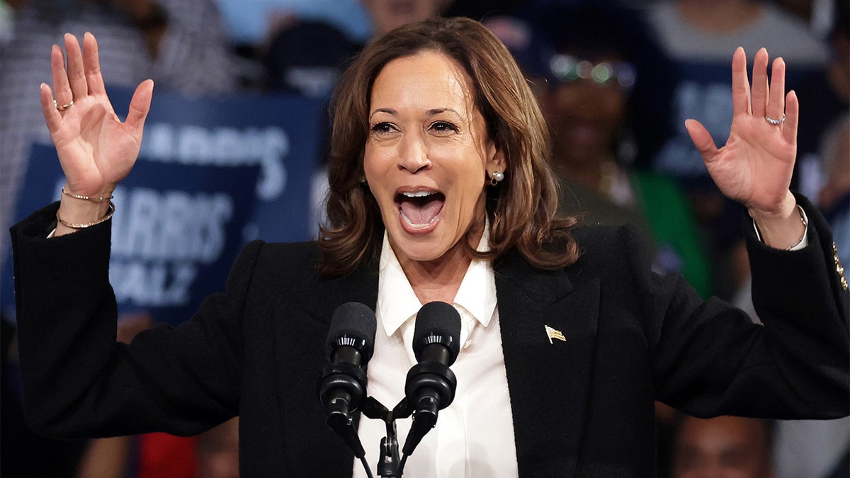 Close-up of Vice President Kamala Harris