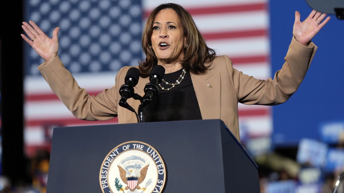 Wiceprezydent Demokratów Kamala Harris przemawia podczas wiecu wyborczego na stadionie Jamesa R. Hallforda, czwartek, 24 października 2024 r. w Clarkston w stanie Georgia (AP Photo/Julia Demaree Nikhinson)