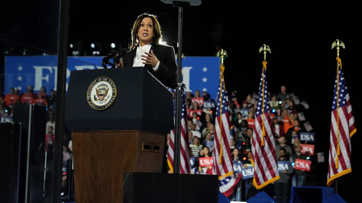 Vice President Kamala Harris speaks during a campaign event at the Ellipse near the White House, Tuesday, Oct. 29, 2024.