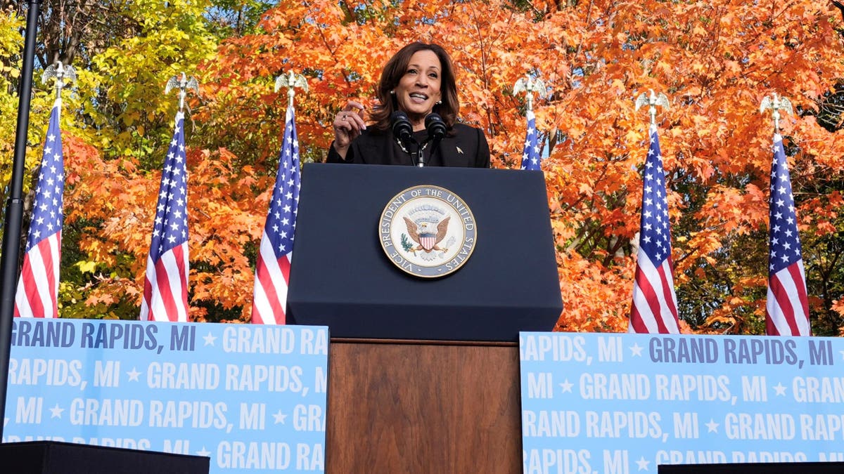 Democratic presidential nominee Vice President Kamala Harris speaks during a campaign event at Riverside Park in Grand Rapids, Mich., Friday.