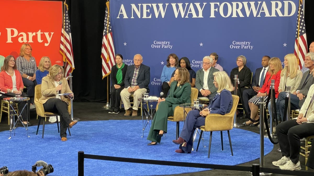 Long shot of Harris City Hall with Liz Cheney